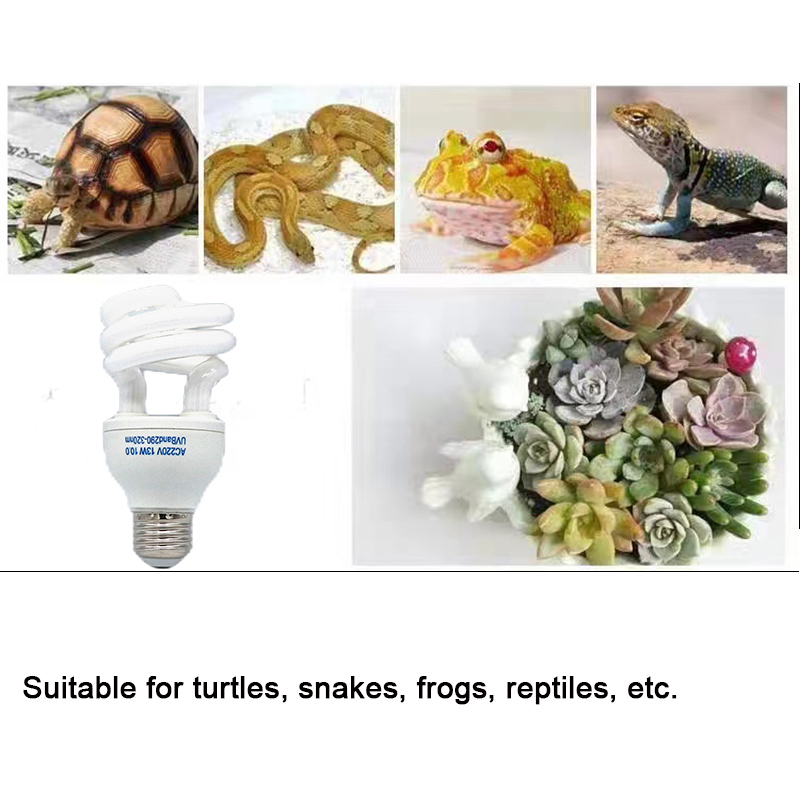 E27 13W/26W Reptiel Uvb Lamp C - Calcium Powder Reptile recensie en prijs