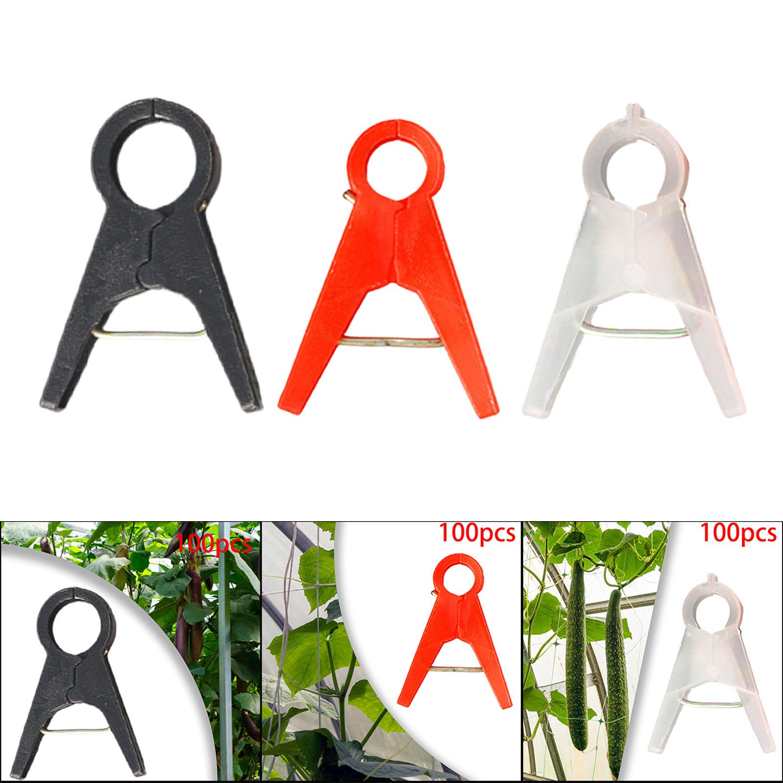 100 Stuks Tuinplant Ondersteun - Vine Climbing Plastic recensie en prijs