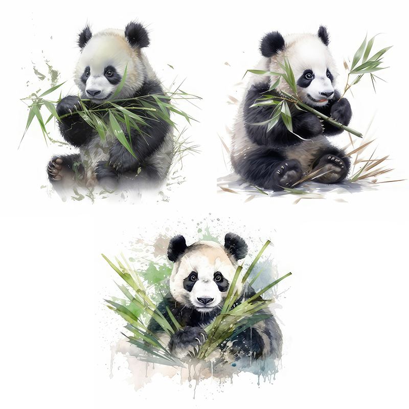 C76 #   Aquarel Panda muurstic - Pvc Panel Background recensie en prijs