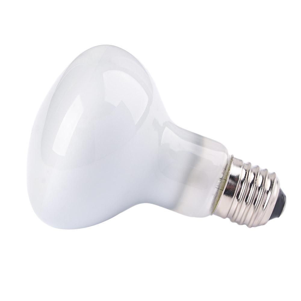 Schildpad Temperatuurregelaar  - Basking Bulb Halogen recensie en prijs