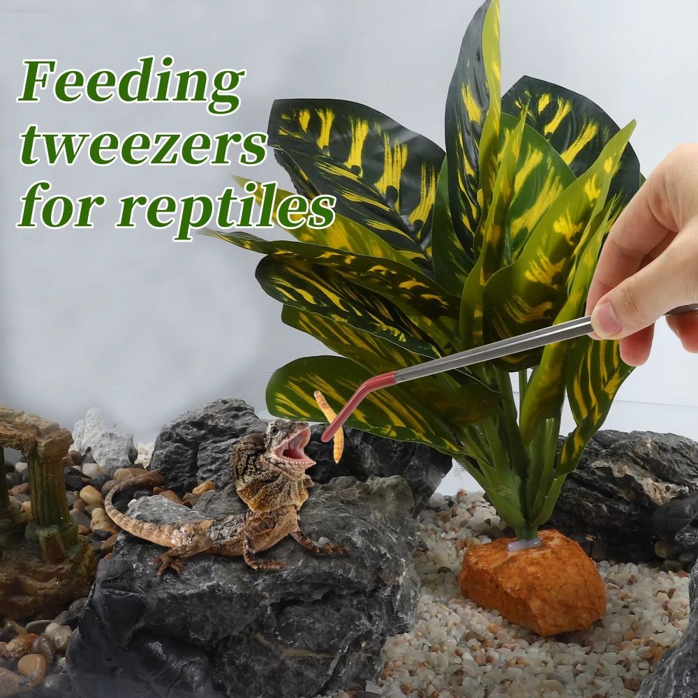 Rvs Aquarium Voeden Pincet Rub - Feeding Tong Stainless recensie en prijs