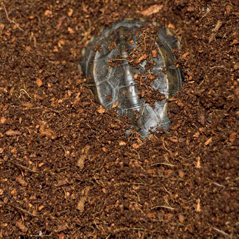 WAJABABY Kant-en-klare Coco Co - Substrate Coconut Fiber recensie en prijs