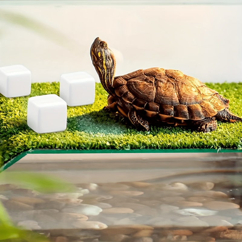 6 Stuks Aquarium Calcium Blok  - Calcium Powder Reptile recensie en prijs