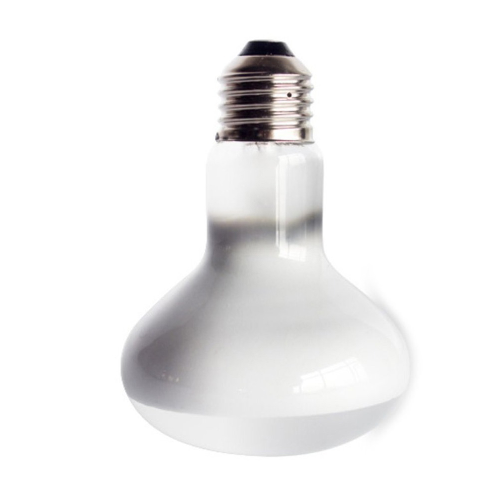 Hagedisverwarmer Temperatuurre - Basking Bulb Halogen recensie en prijs