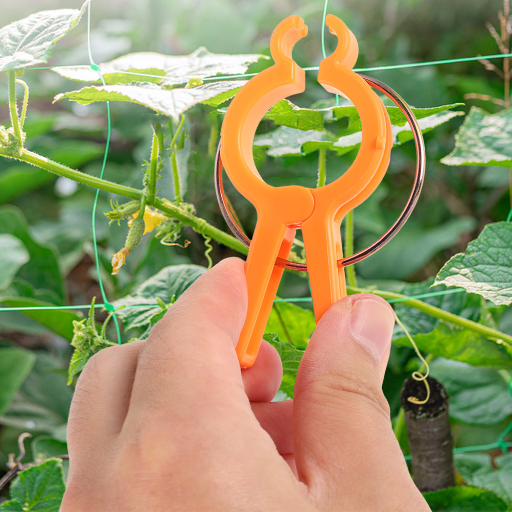 10 stuks plantenbevestigingscl - Vine Climbing Plastic recensie en prijs