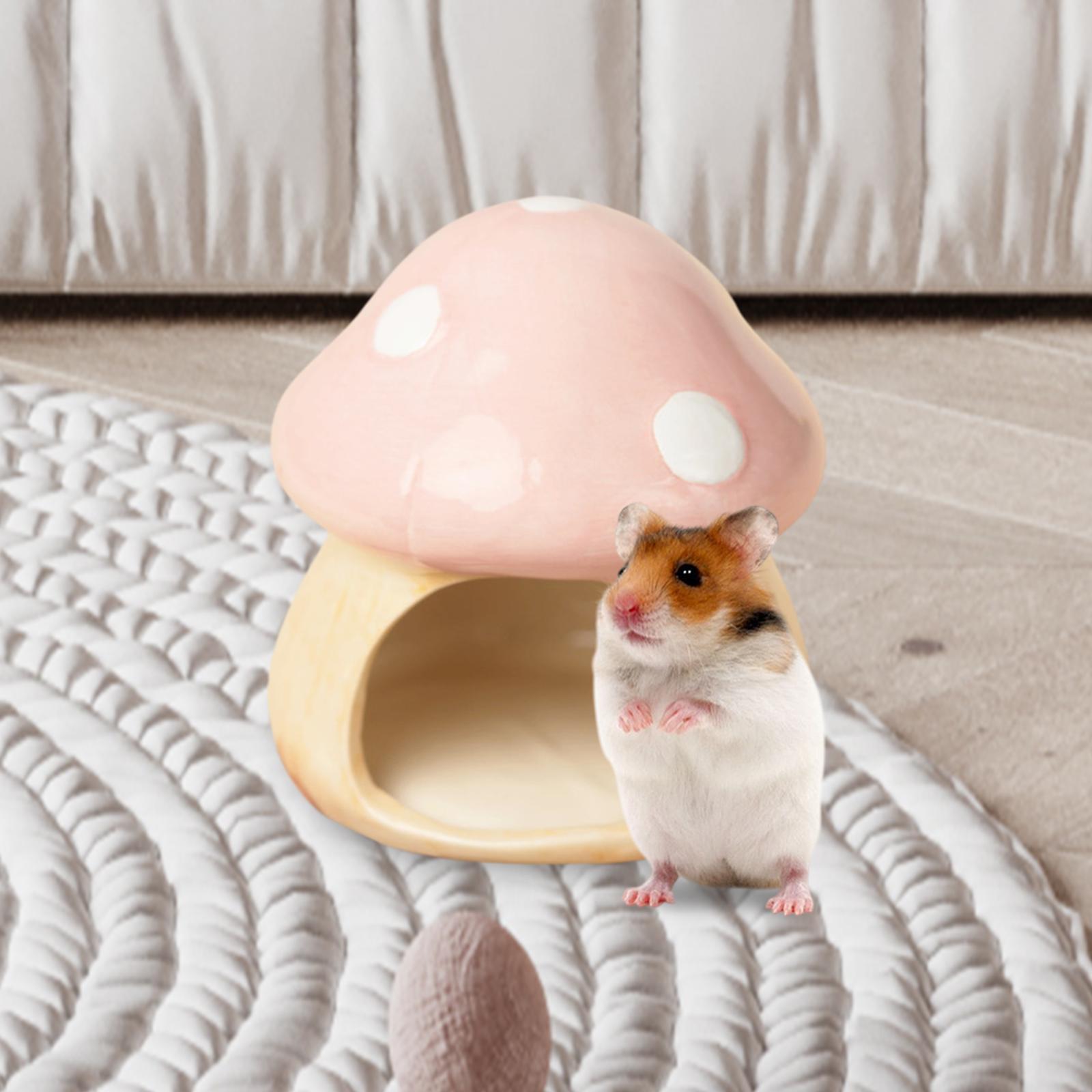 Keramische Paddestoel Hamster  - Hide Cave Ceramic recensie en prijs